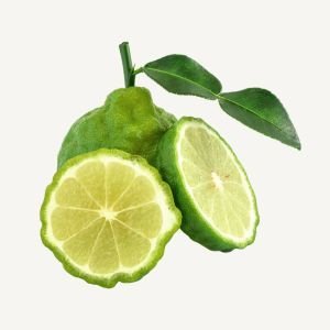 Bergamot