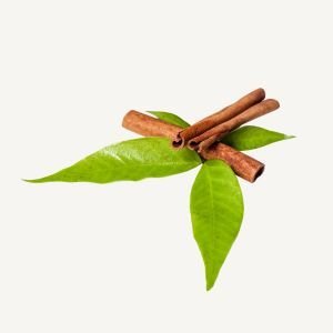Cinnamon Leaf