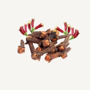 Clove Bud