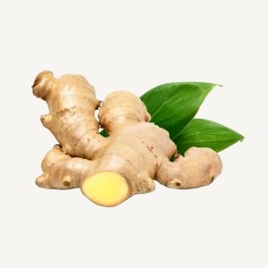 Ginger