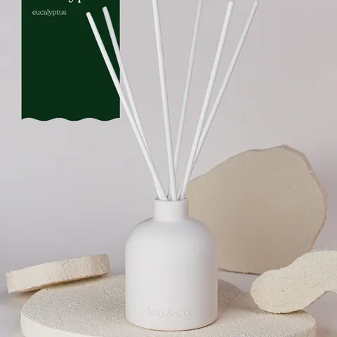 Eucalyptus — Feu&Co