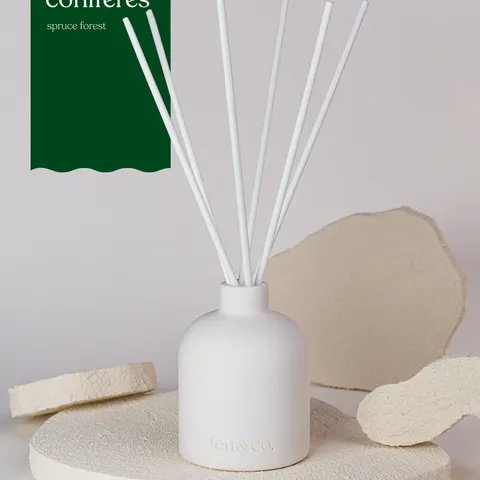 Conifer Forest — Feu&Co