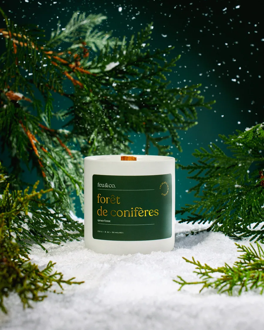 Feu&Co Conifer Forest soy candle with a wooden wick, set among snowy fir branches