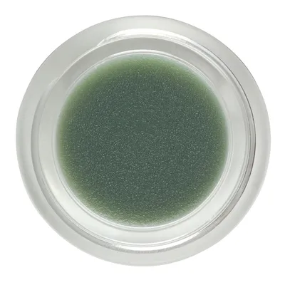 BeDew Dab - Ozonated Beauty Balm — Living Libations
