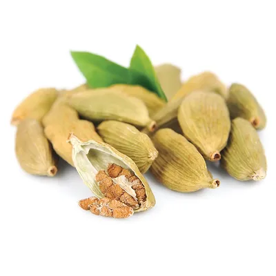 Cardamom — Living Libations