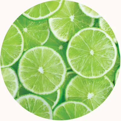 Lime — Living Libations