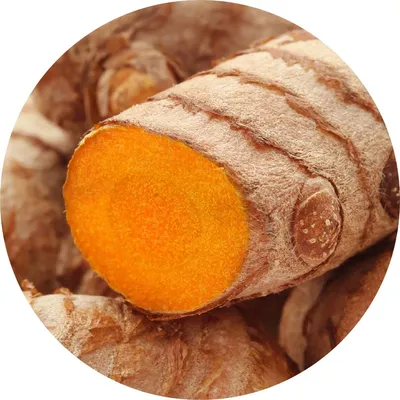 Turmeric — Living Libations