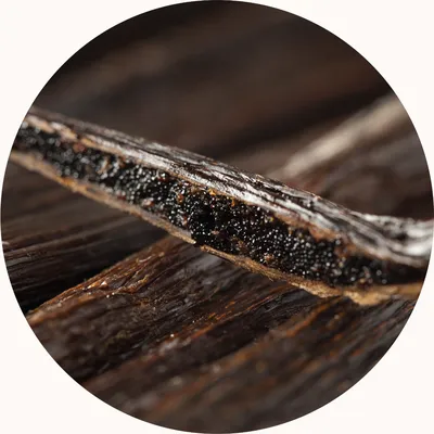 Vanilla — Living Libations